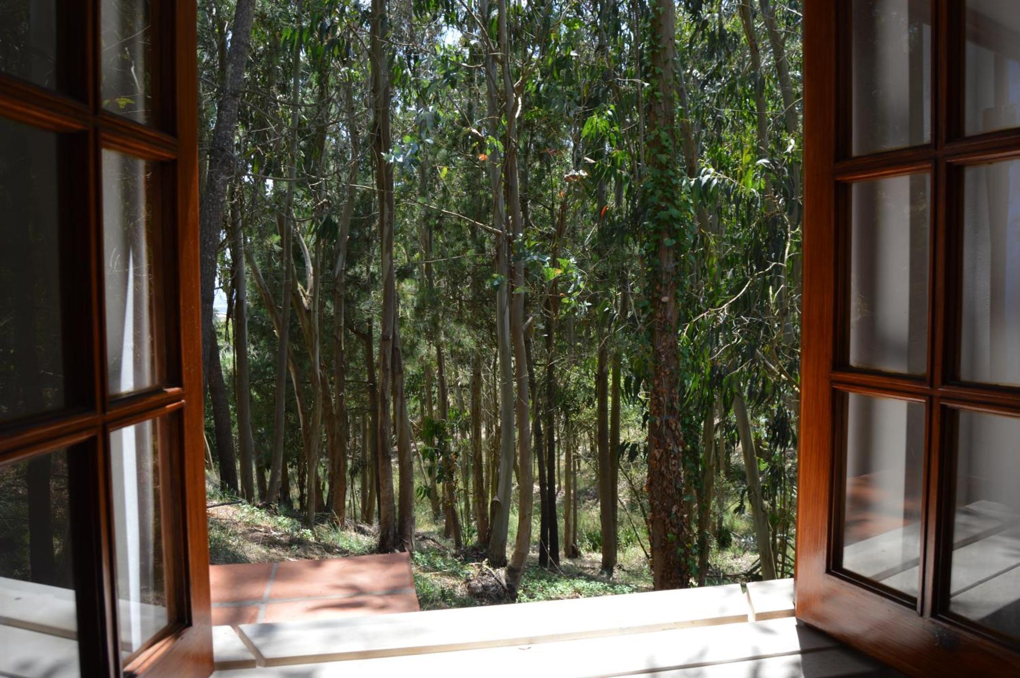 Villa Quinta Dos Mangues São Martinho do Porto Habitación foto