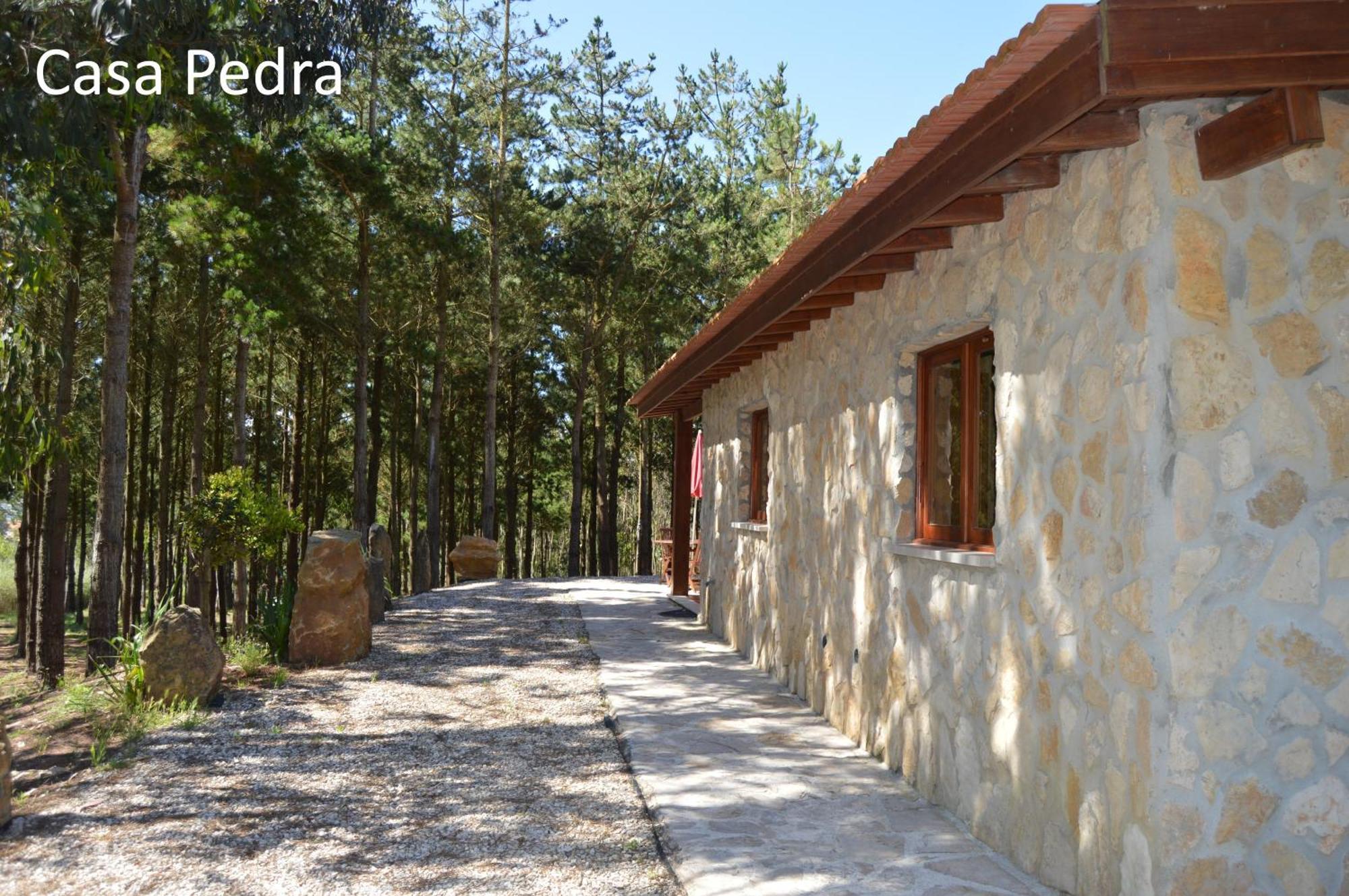 Villa Quinta Dos Mangues São Martinho do Porto Habitación foto