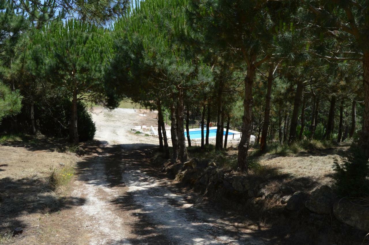 Villa Quinta Dos Mangues São Martinho do Porto Exterior foto
