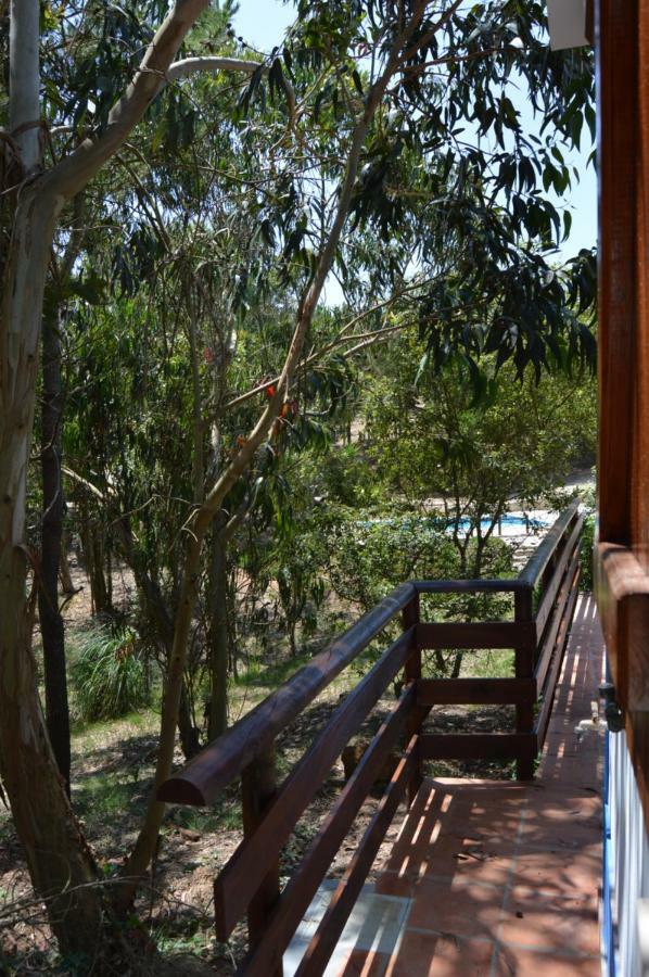 Villa Quinta Dos Mangues São Martinho do Porto Exterior foto